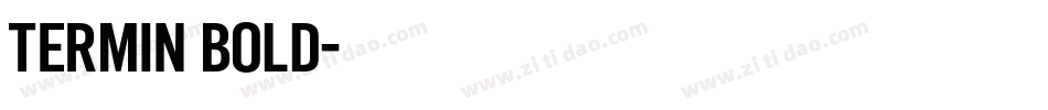 Termin Bold字体转换